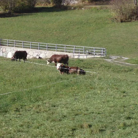 Séjour à la ferme Plan D'avie Aoste