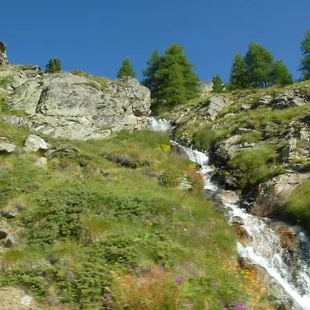 Plan D'avie Farm stay