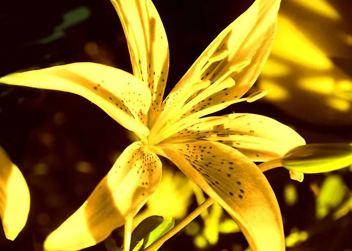 Farm stay Plan D'avie