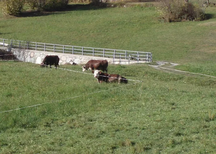 Farm stay Plan D'avie Aosta