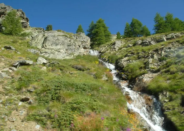 Plan D'avie Farm stay